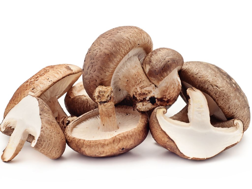 Shiitaké, le champignon qui immunise votre corps - Solution Santé Nature